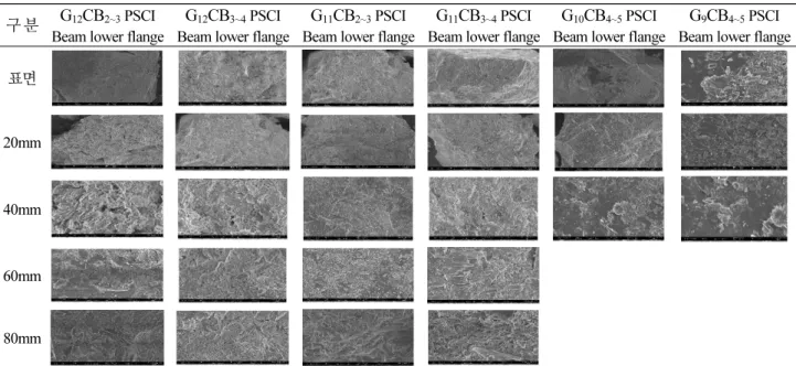Fig. 3. SEM analysis results of the collection samples