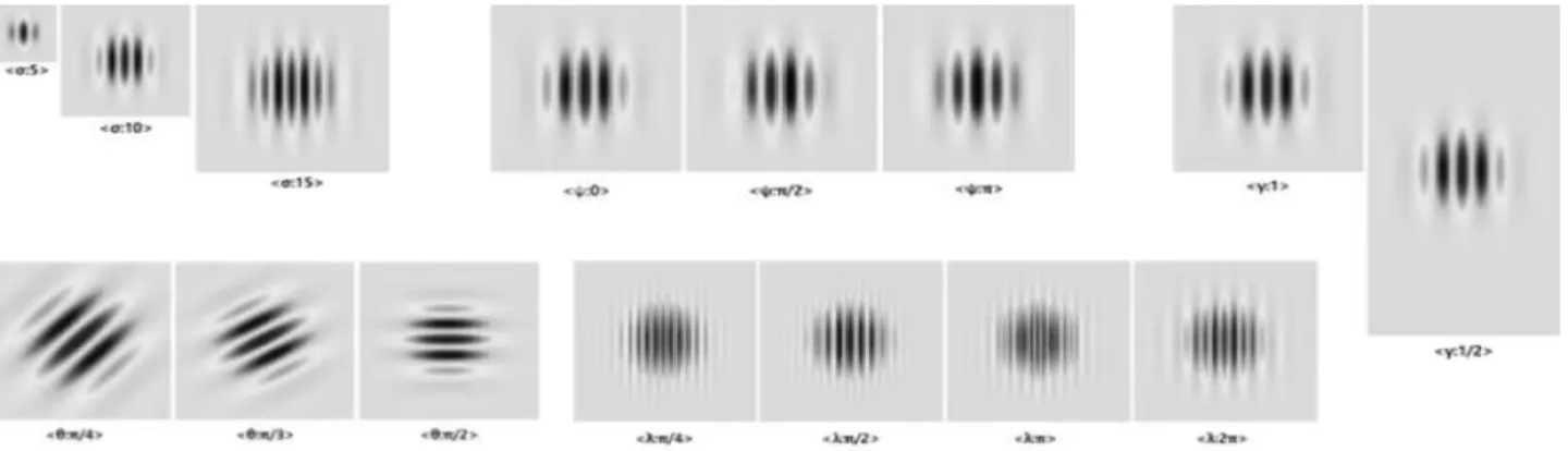 Fig. 3 Gausian filters factor from Gabor Filter Bank