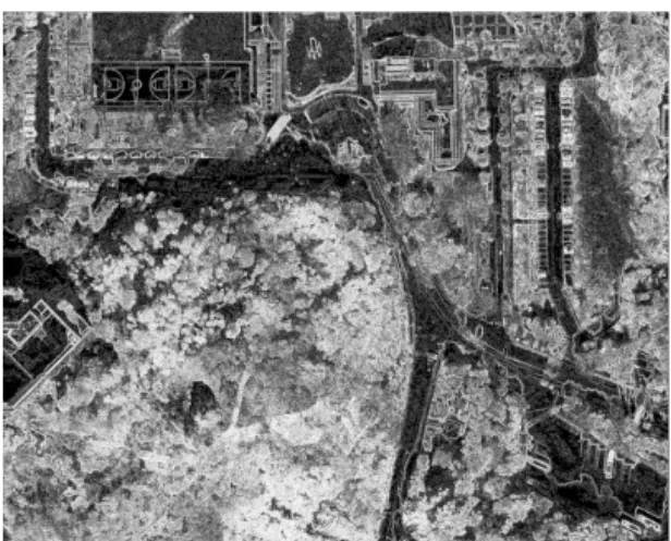 Fig. 5. GLCM image