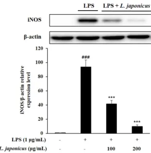 Fig. 7. Effects of L. japonicus extract on LPS-induced iNOS protein expression in RAW  264.7 cells