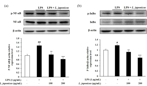 Fig. 8. Inhibit phosphorylation level of NF-ĸB (a) and IĸB- α (b) in LPS-induced RAW 264.7  cell