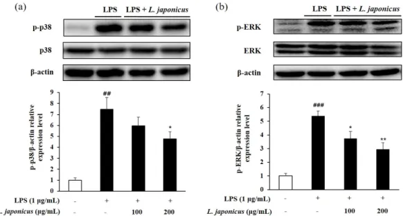 Fig. 9. Inhibit phosphorylation level of p38 (a) and ERK (b) in LPS-induced RAW 264.7  cell