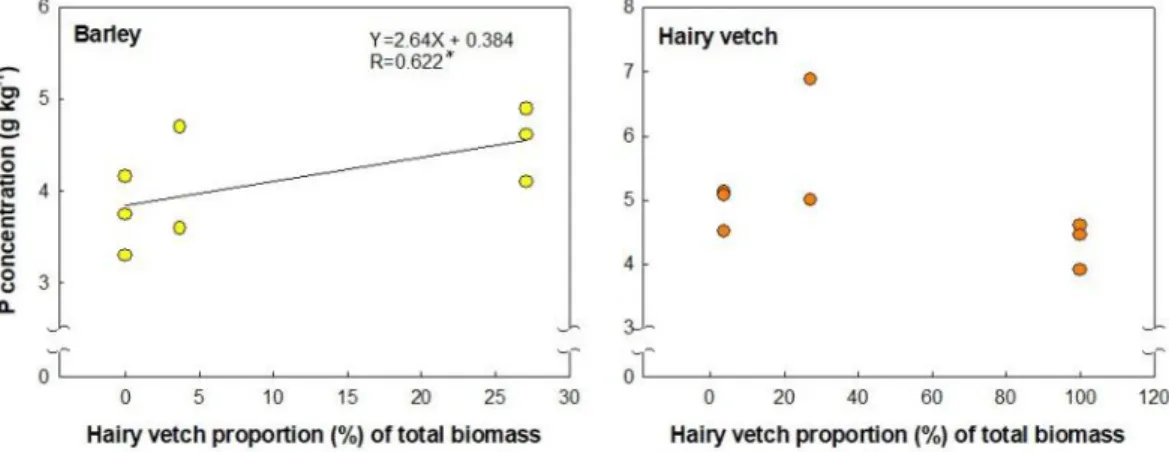 Fig. 5. Phosphate concentration (g/kg) of barley and hairy vetch by increasing hairy vetch  proportion of total green manure biomass.
