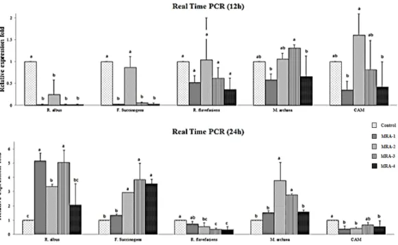 Fig. 1. Relative quantification analysis of rumen microorganism population in vitro ruminal  fermentation by methane reduction additives 12 h and 24 h fermentation time