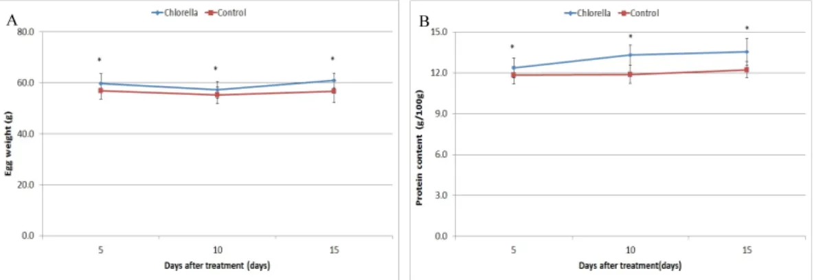 Fig. 1. Effect of Chlorella powder on average egg weight (A) and crude protein content  (B) of organically feed laying hens