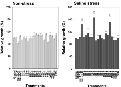 Fig. 2. Relative fresh weight (%) compared with a control in tomato plants treated with  20 bacterial suspension under non-stress and salinity stress conditions