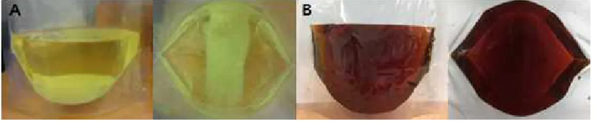 Fig. 1. Comparison of the occurrence of sediment in nutrient solution of Horticultural Research Institute in Japan (A) and nutrient solution of AGH-Ringers (B).