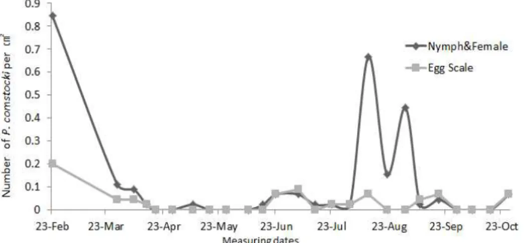 Fig. 2. Density fluctuation of average numbers of P. comstocki nymphs and female adults or egg scales sampled from ㎠ trunk or arm or leaf or fruit of grape.