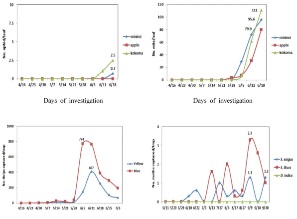 Fig. 3. Seasonal occurrence pattern of insect pests in small type watermelon in 2015.