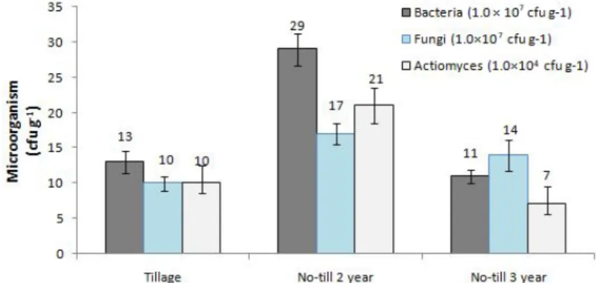 Fig. 2. Changes of microorganism flora with different tillage system [Tillage: March 3, 2010; 