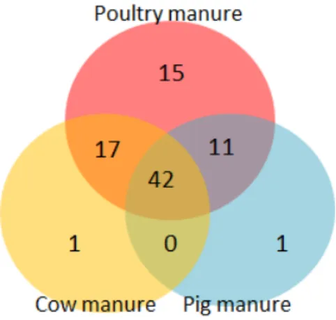 Fig. 3. Classification by main component in commercial decomposed compost.