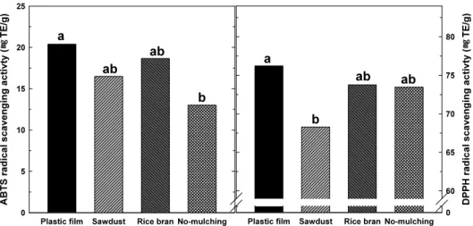 Fig. 4. Effect of mulching materials on antioxidant activity of P. grandiflorum radix (A: 