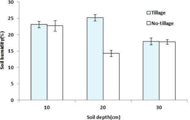 Fig. 8. Soil humidity (%) for soil location at different tillage systems.