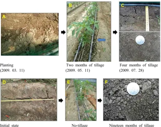 Fig. 2. Changes of soil physical property after tillage with time progress (Progression of soil crack).