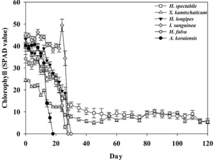 Fig. 1. Changes in chlorophyll content according to unirrigation.