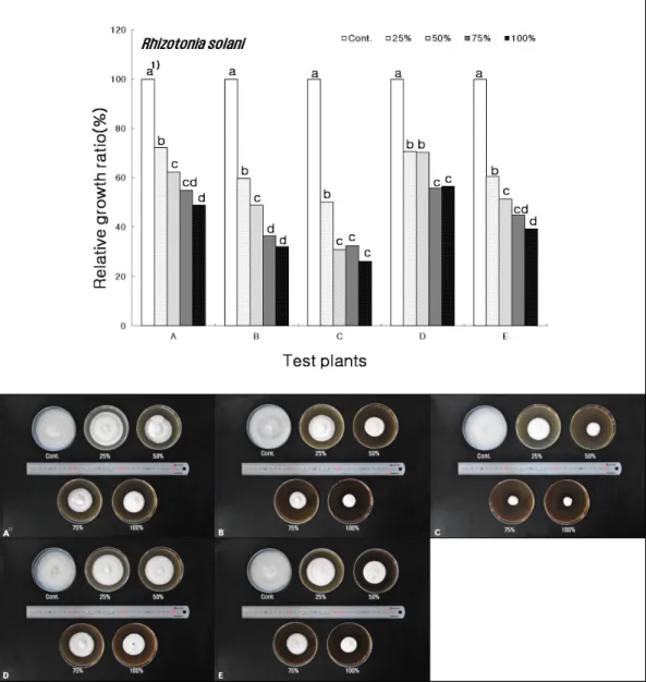 Fig. 6. Antimicrobial activity on the Rhizoctonia solani.