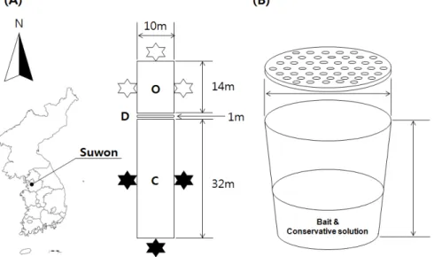 Fig. 1. (A) Study site and (B) pitfall trap used in this study.
