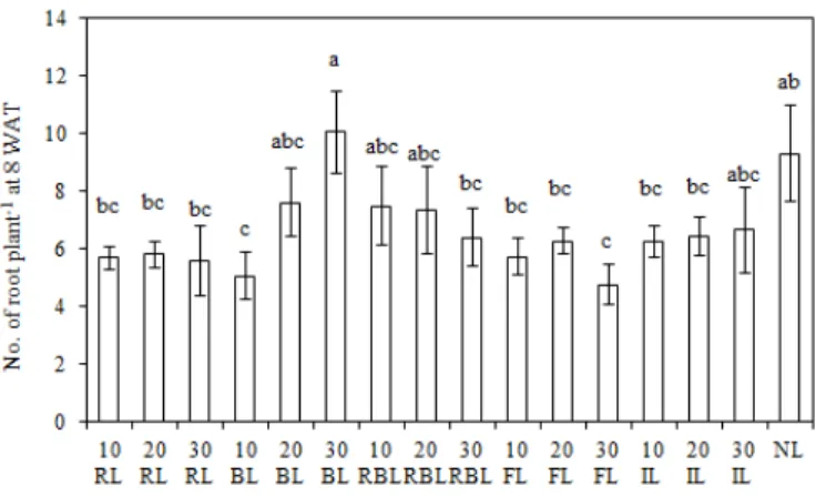 Fig. 5. Number of roots at 8 weeks after treatment as affected by eco light sources light- light-ing at 10, 20, and 30 cm apart from ‘Viklight-ing’ pot rose.