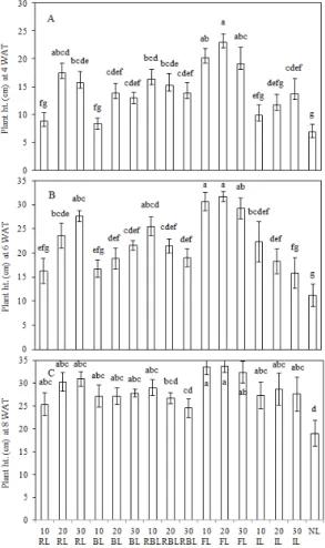 Fig. 1. Plant height at 4 (A), 6 (B), and 8 WAT (C; weeks after treatment) as affected  by eco light sources lighting at 10, 20, and 30 cm apart from ‘Viking’ pot rose.