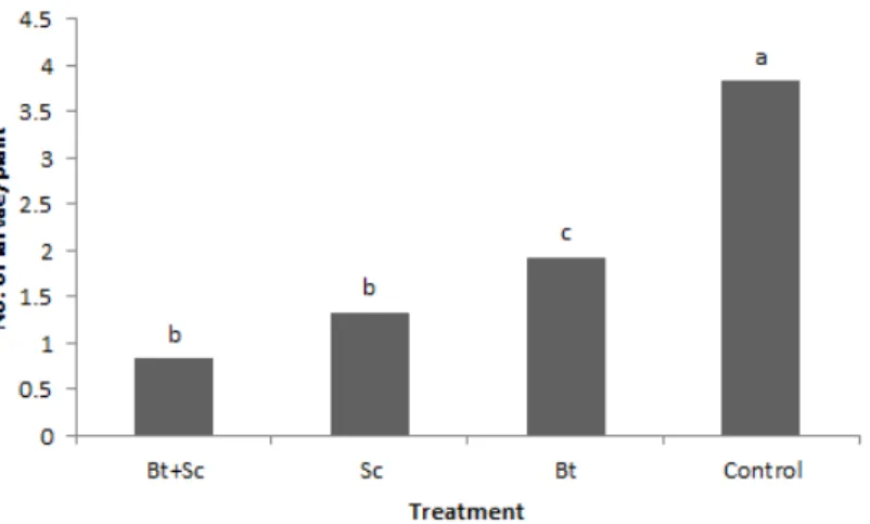 Fig. 7. Control efficacy of  Bacillus thuringiensis and Steinemema carpocapsae mixture  against Spodoptera exigua of chinese cabbage on plastic house
