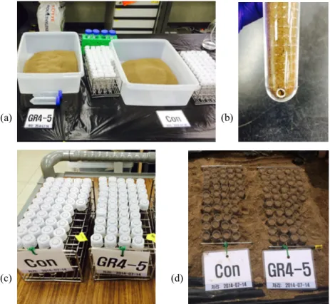Fig. 1. Microcosm procedure (a) soil sample and 14 mL round-bottom tube; (b) Each  tube with three drainage holes for outdoor condition test; (c) Indoor condition; 