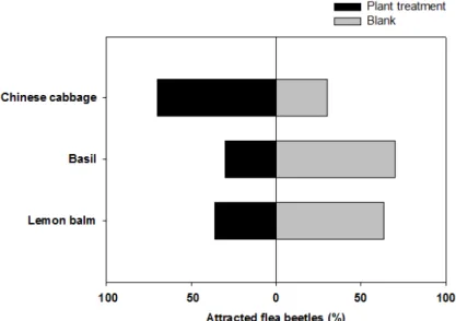 Fig. 1. Evaluation of repellent effect of two herbal plants and chinese cabbage striped flea  beetle using Y-tube olfactometer compared with blank treatment.