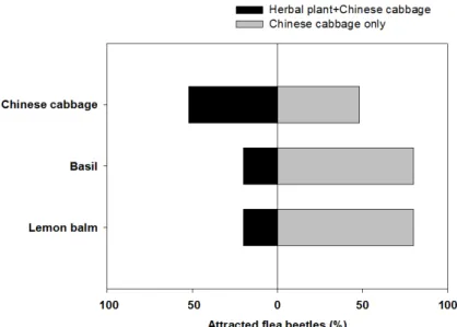 Fig. 2. Evaluation of repellent effect of assemblage (combined treatment) of each two  herbal  plants  and  chinese  cabbage  against  striped  flea  beetle  using  Y-tube  olfactometer compared with chinese cabbage alone.