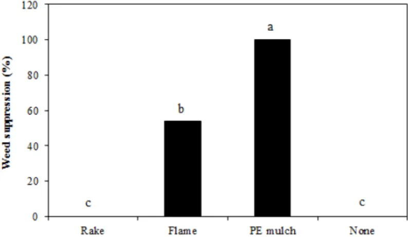 Table 3. Growth and yield of spring-season cabbages as affected weed managements in  2013