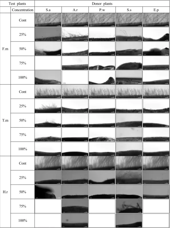 Fig. 4. Development of test plants root hairs with different concentrations of water ex- ex-tracts from donor plants.
