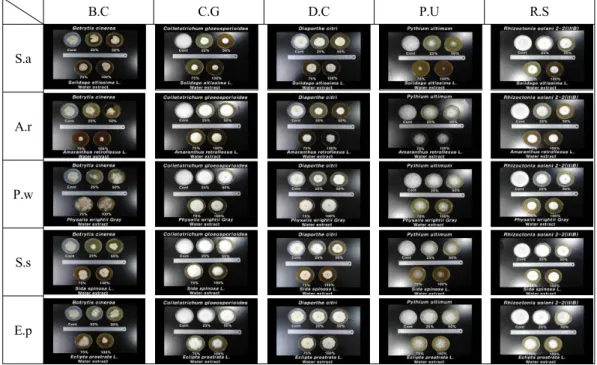 Fig. 5. Colony diameter of fungi taxa grown in PDA medium with different concentration of  water extracts from donor plants