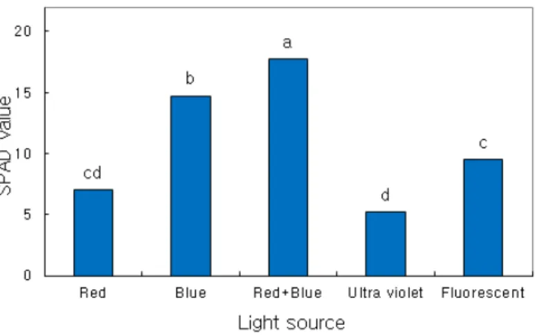 Figure 3 shows the SPAD values of lettuce grown under red, blue, red+blue, ultraviolet, and  fluorescent light irradiation