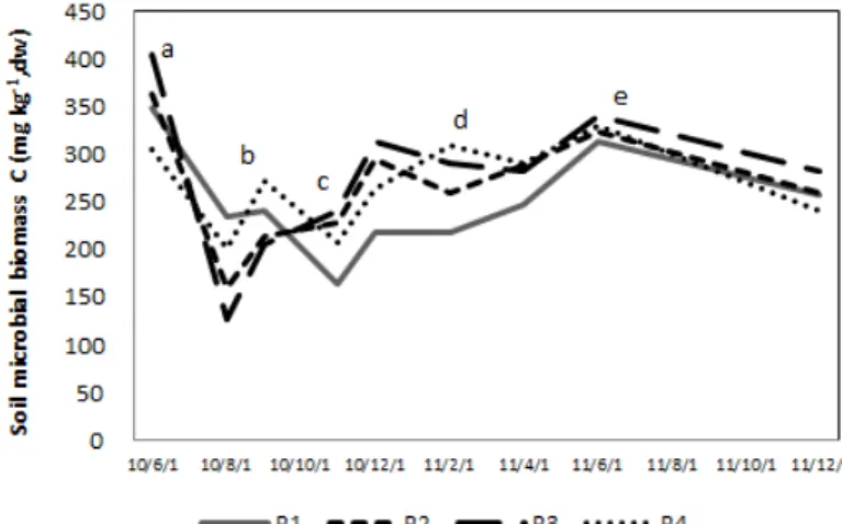 Fig. 4. Changes with time of soil microbial biomass C during rotation period(a; 2010/6/10,  b; 2010/9/16, c; 2010/11/2, d; 2011/2/21, e; 2011/6/24 : R1, Rotation Ⅰ; R2,  Rotation Ⅱ; R3, Rotation Ⅲ; R4, Rotation Ⅳ).
