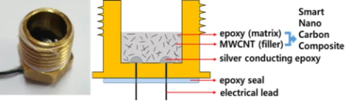 Fig. 1 The  plug  pipe  type  pressure  cap  sensor  based  on  the  MWCNT  smart  nano  composite 새로운 압력 센서 개발을 위하여 CNT  기반의 SNC 가 지니는 전왜성 기반의 압력 측정을 위한 기초 특 성을 소개하고자 한다