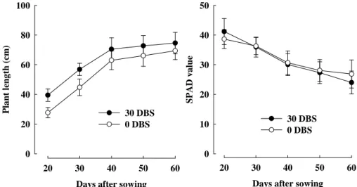 Fig. 1. Changes in plant length and SPAD value of corn as affected by incorporation of  rapeseed as green manure