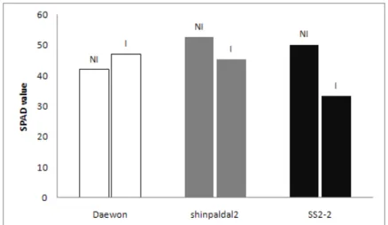 Fig.  6.  Chlorophyll  contents  in  3  different  soybean  cultivars  at  full  pod  stage                         as  affected  by  soil  inoculation.