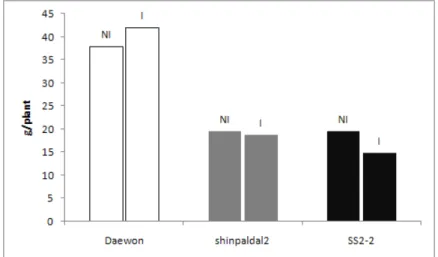 Fig.  9.  Average  grain  weight  in  3  different  soybean  cultivars  as  affected                             by  soil  inoculation.