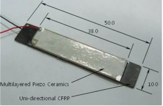 Fig.  1  Operating  principal  of  a  color  sorter