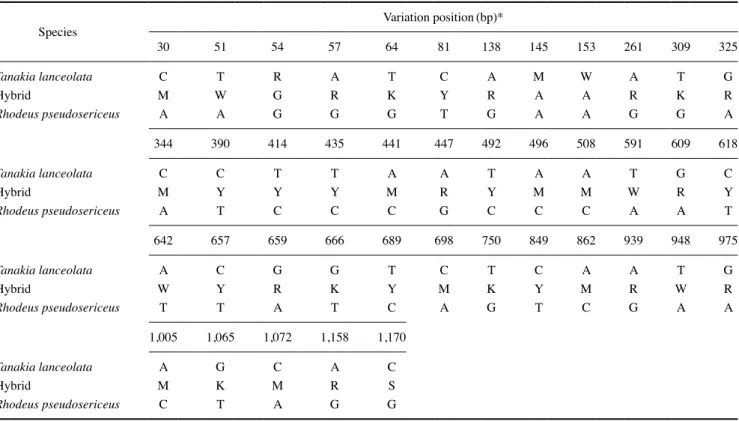 Fig. 4. Fragments of electropherograms to the recombination activating gene 1 (rag1) gene in nuclear DNA (nDNA) provide clear evidence of  Tanakia lanceolata and Rhodeus pseudosericeus and their intergeneric hybridization