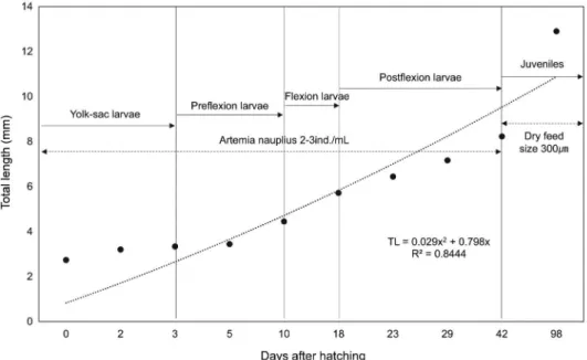 Fig. 3. Growth of larvae and juveniles after hatching in days of Carassius cuvieri.