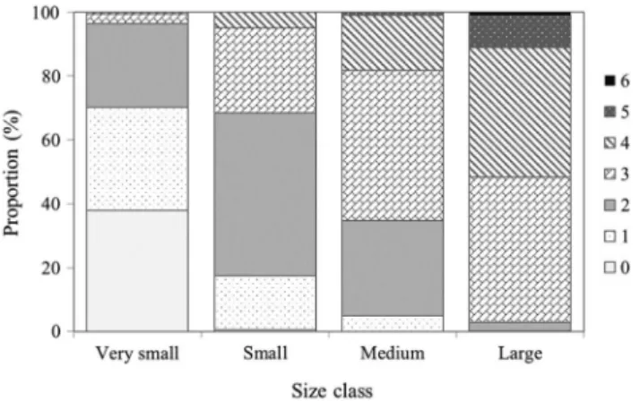 Fig. 12.  Proportions of age groups (1~6 years old) by each size class (very small, small, medium and large) of chub mackerel sold in  Bu-san cooperative fish market in 2015.