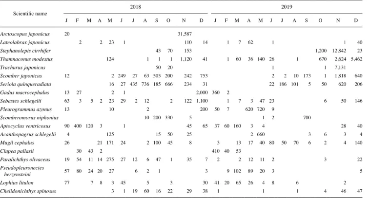 Table 3. Monthly variations of individual of dominant species collected by set net in 2018~2019