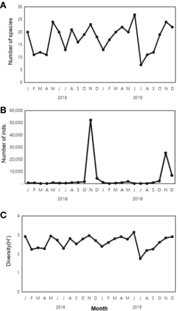 Fig. 6.  Dendrogram showing the relationship among the sampling months between 2018 and 2019 based on the number of individuals of each  species.