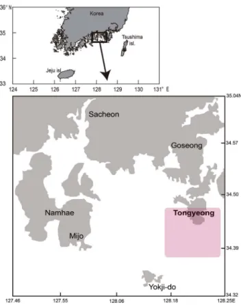 Fig. 1.  Annual catch (mt) of black seabream Acanthopagrus schlegelii  in the Korean waters.