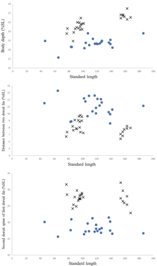 Fig. 5. Percentage (% SL) of three morphometric characters with growth, showing clear separation between type­A (cross) and type­B (circle)