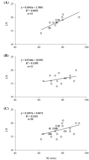 Fig. 3. Sexual differences (mean±SD) of Iksookimia hugowolfeldi in  standard length (A, mm), olfactory lamellar number (B, mm),  olfac-tory lamellar number to standard length ratio (C, %)