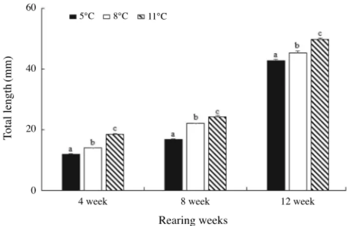 Fig. 4. Weight (mg) in walleye pollock, Gadus chalcogrammus, mea- mea-sured at 2-week intervals during the 12 weeks feeding trial (means of  triplicate±SE)