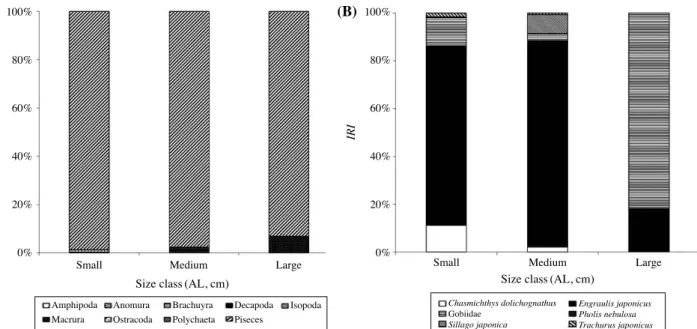 Fig. 4. Variation of mean number of preys per stomach (mN/ST) and  mean weight of prey per stomach (mW/ST) of Conger myriaster among  size classes (Small:  < 15 cm, n=61; Medium: 15~20 cm, n=47; 