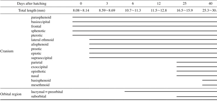 Table 2. The developmental process of caudal skeleton, shoulder girdle and vertebrae of Hemibarbus longirostris