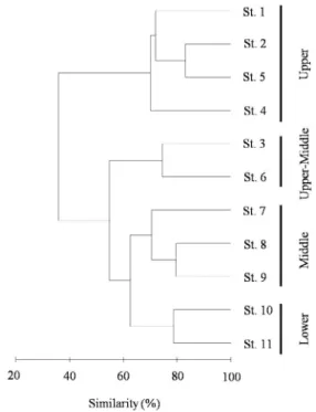 Table 4. Index of Biological Integrity (IBI) in the Hwayangcheon Stream of Songnisan National Park, Korea from April to October 2018 Parameter St