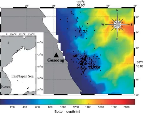 Fig. 1. Location of sampling area in the middle East Sea, Korea. Samples were collected along the shore lines within boxed area
